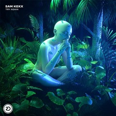 Sam Koxx - Try Again