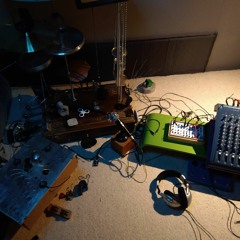 ShrillingMeIn&Out (ExperimentalShrillHouse)