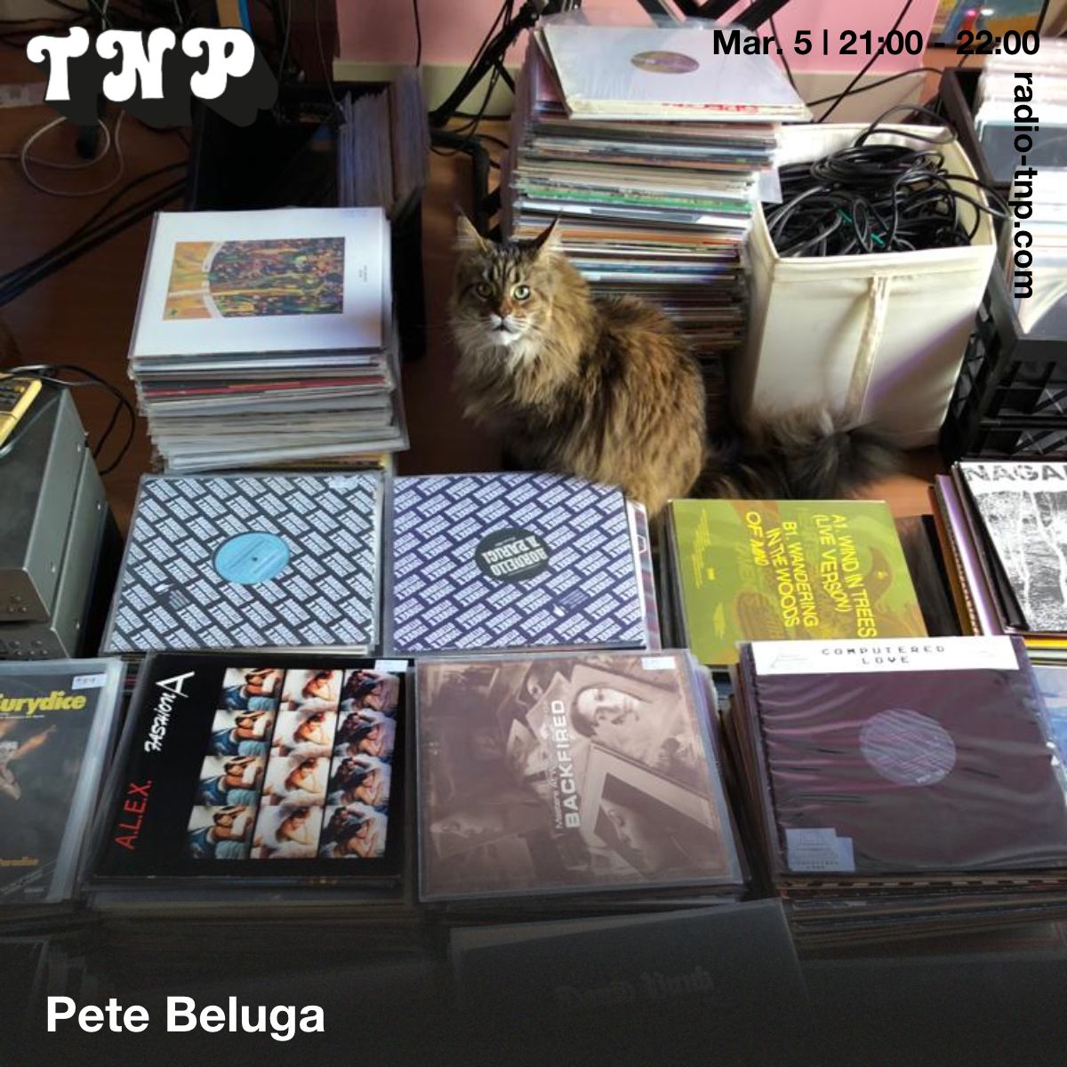 Pete Beluga