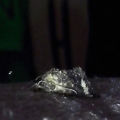 DĚTI (ft. ReeZ In3gue)