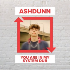 Ashdunn - You Are In My System Dub [FREE DOWNLOAD]
