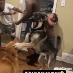 the worst thing i have ever made