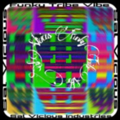 Funky Tribe Vibe