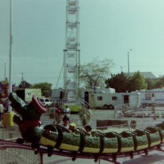 16 (biologie) - suenodemorir