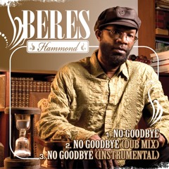 No Goodbye (Dub Mix)
