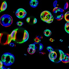 Wildsilences - Venus Weeps (with music by Jai Tee)