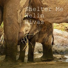Shelter me.............Welin/Rivas