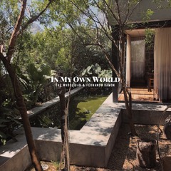 The Whooligan & Fernando Damon "In My Own World"