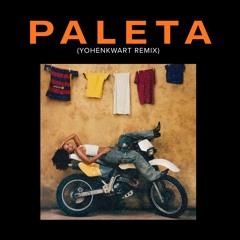 WISIN Y YANDEL - PALETA (YOHENKWART REMIX)