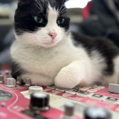 Neue Aufnahme - eTscho on Korg ESX