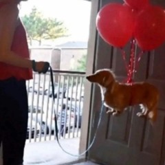 hardgroove mix to make the emails practically write themselves