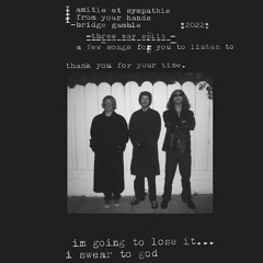 amitié et sympathie - lightning bugs