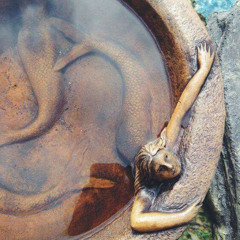 Rainy Day At The Bird Bath