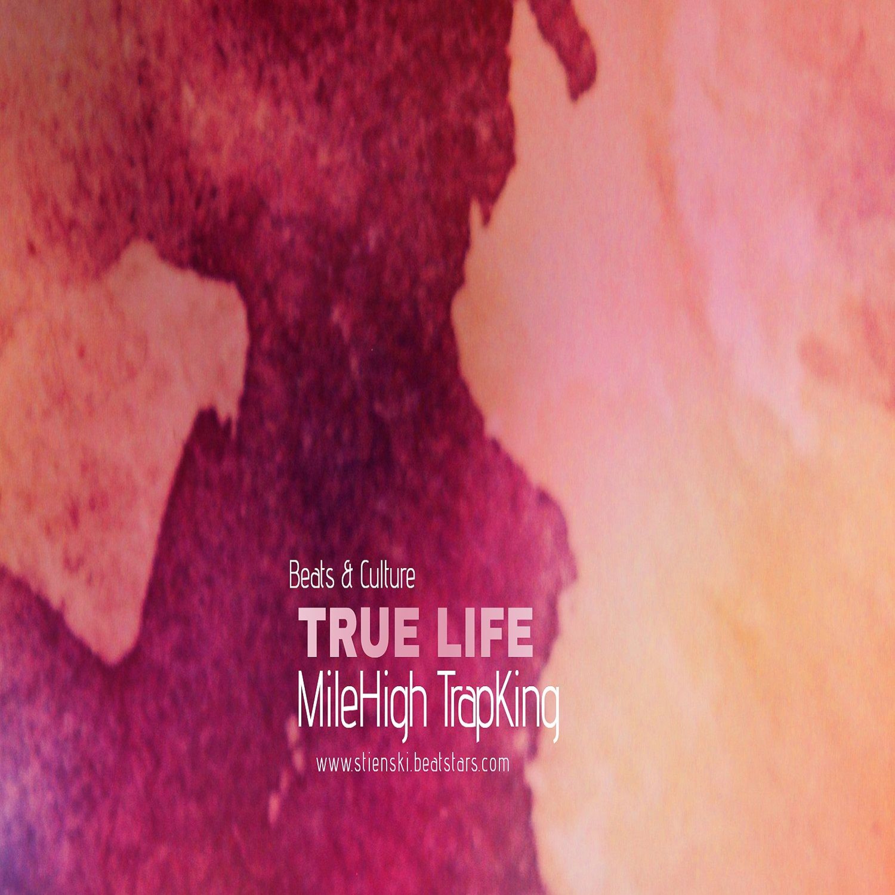 TRUE LIFE (Prod. Stienski) episode artwork