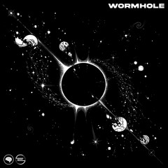 Wormhole 🌪️  [MORII009 🧠]