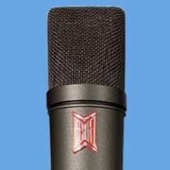 Beesneez BU87 - Acoustic Guitar