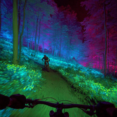 Pretty Little Liar (p.meutry)