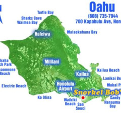 Best Snorkel Bobs Near Me Prices Reviews
