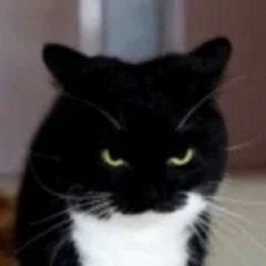 Margo Missing 122