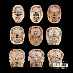 VITALY (lordmoncler! x cash cudi)