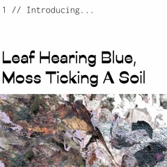 Intro To Leaf Hearing Blue