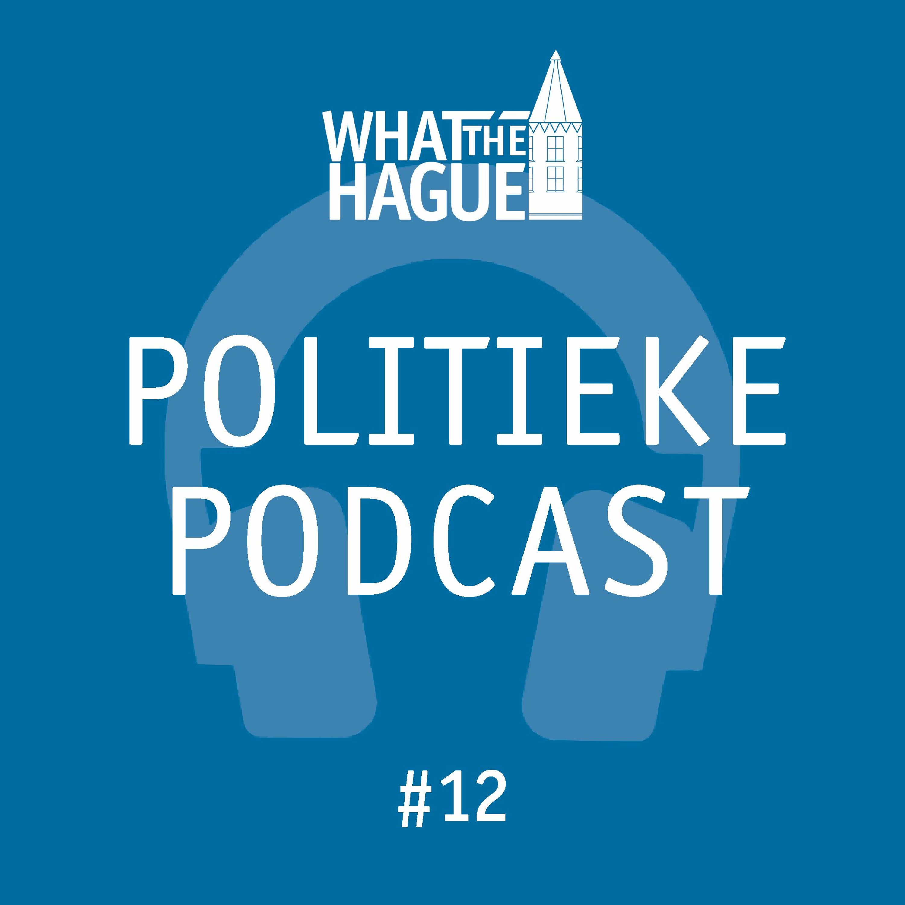 Politieke Podcast #12 | januari 2020