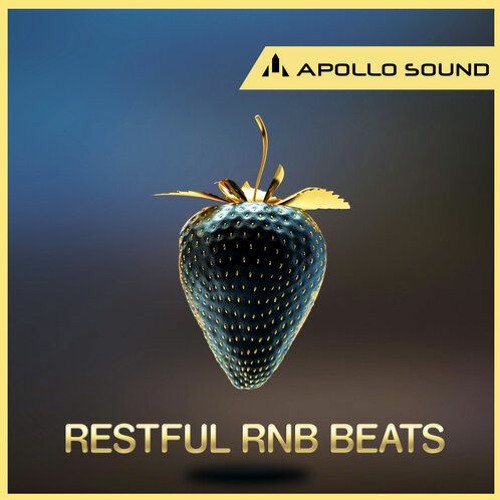APOLLO SOUND - Restful RnB Beats