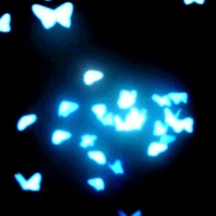 "IMERSÃO" 🌌 ft. Yung Veras