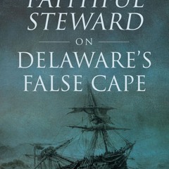 ❤read⚡ Wreck of the Faithful Steward on Delaware's False Cape, The (Disaster)