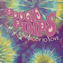 Somebody to Love (Salt Shaker Remix) (Radio Edit)