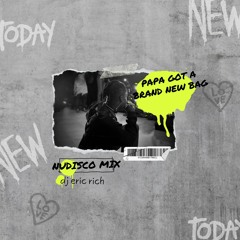 DJ Eric Rich - Papa Got A Brand New Bag (Nudisco Mix)