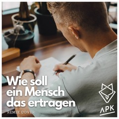 Wie Soll Ein Mensch Das Ertragen - APK [Remix Cover]