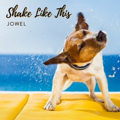 Shake Like This