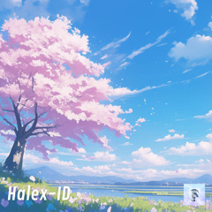 Halex - ID