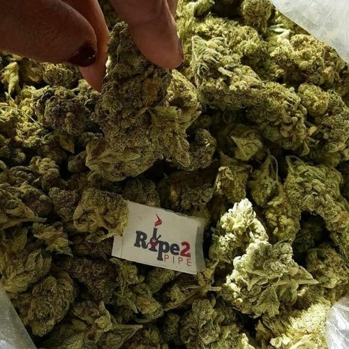 Mail marijuana online with PayPal (WhatsApp at): +1(786)949-1469