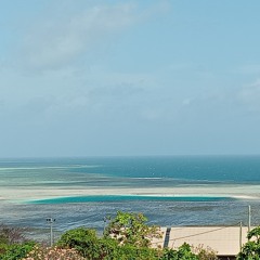 MEKA MANA 2025 REMIX🔥😮‍💨