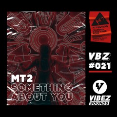 MT2 - Something About You (Radio Edit)