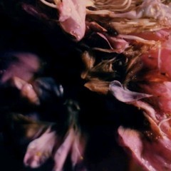 Cellophane (Vocal Isolation)