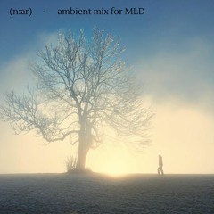 (n:ar) - ambient  mix for MLD