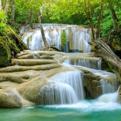 Staying on the Pathway of Life