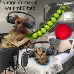 waitimfl04ted x yungcumman- Im a pea dish