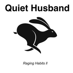 TRACK PREMIERE : Quiet Husband - At Your Worst