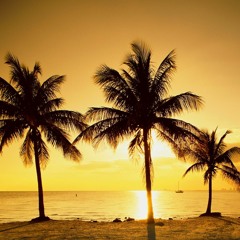 PappyOllie (FREESTYLE) Used To This