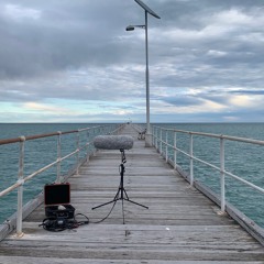 7 Minutes Of Pt Germaine Jetty August 2 4.53pm 2024