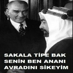 araaaapp.wav