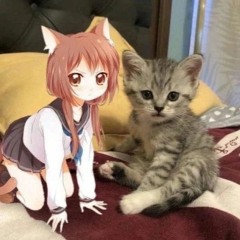 aaaaaa