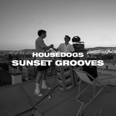 sunset grooves - housedogs