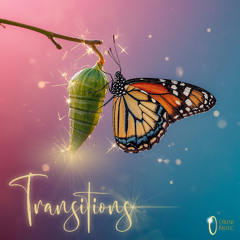 Transitions