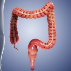Large Intestine Tonic | Improve Gut Health & Increase Bowel Movements