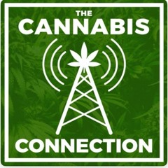 Elliot Lewis-CEO Catalyst Cannabis Co. Jon Kolodinski-Creme De Canna, DJ Spleece 9/22/23